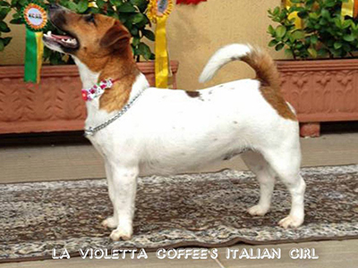jCh La Violetta Coffee's Italian Girl
