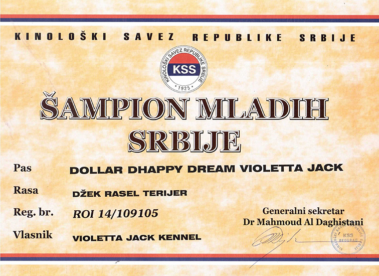 Ch/jCh Dollar Dhappy Dream Violetta Jack