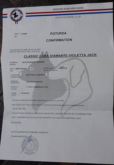 multi Ch Classic Cara Diamante Violetta Jack